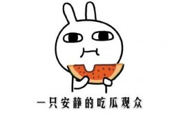 悠闲吃瓜音乐在线听免费,免费聆听吃瓜音乐盛宴