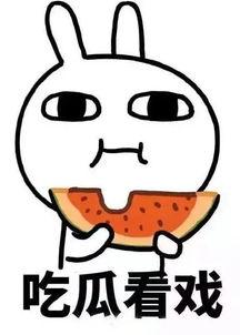 娱乐都是吃瓜群众,全民吃瓜,揭秘明星幕后故事