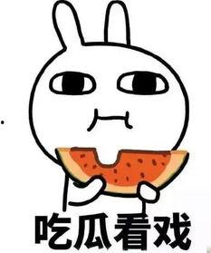 娱乐吃瓜酱相互体谅,相互体谅,共度美好时光